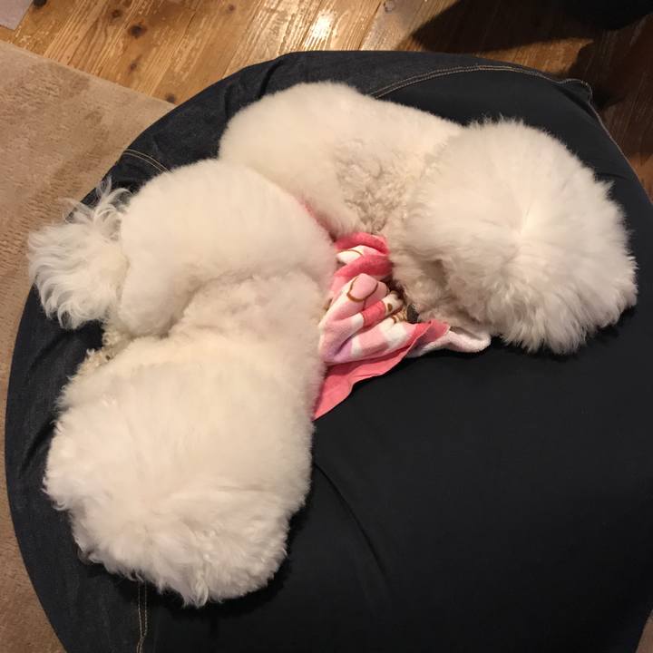 891ea4f5 3fc2 426b aada 7ae795bff606 1553499460310