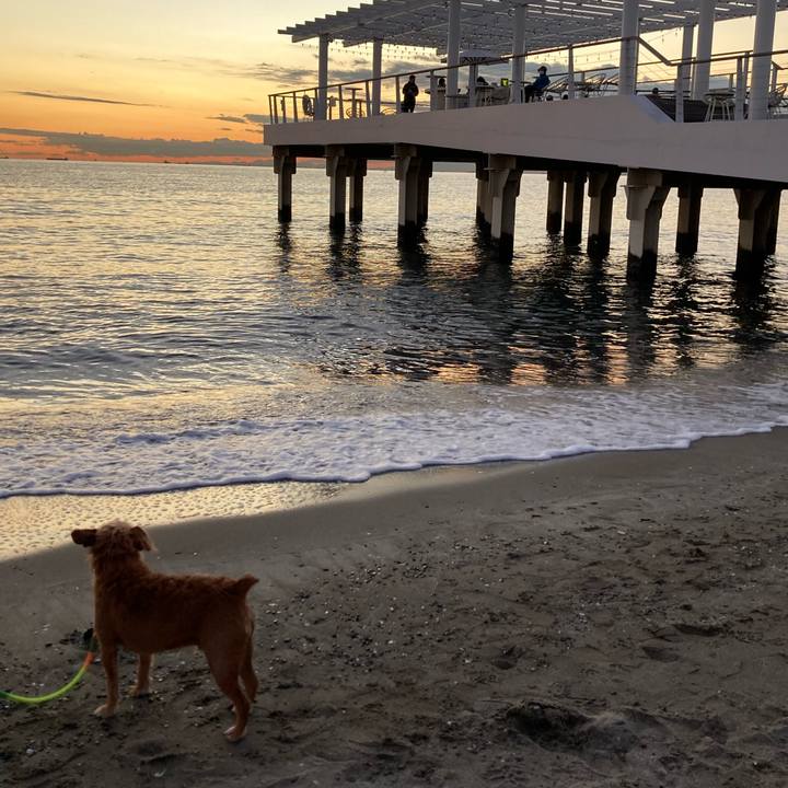 891ebefa 30be 4c3f ae05 c6e77bfd14bb 1668676423594