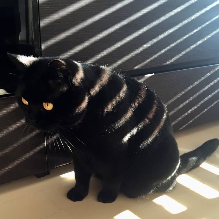 891ec968 e2bb 4846 a277 24db582f9eec 1552719070558