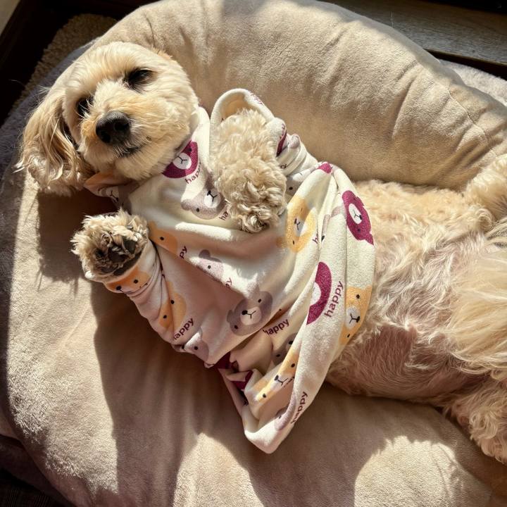 891edca4 af24 4bf3 a8ec 8ce1af88d526 1768787976102