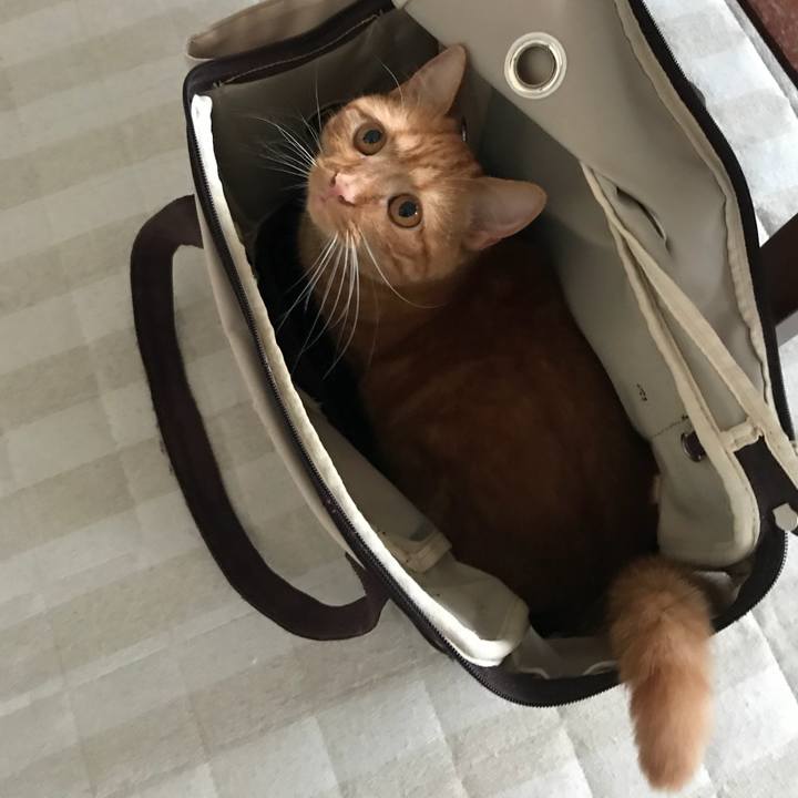 891edca7 a6ed 42f3 ad00 27cc8871533a 1528449032832