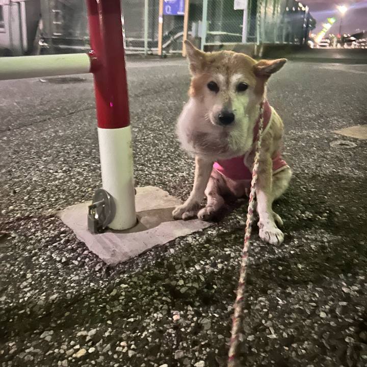 891ef17b fdd6 4805 af14 faafa02e40cd 1762428062694