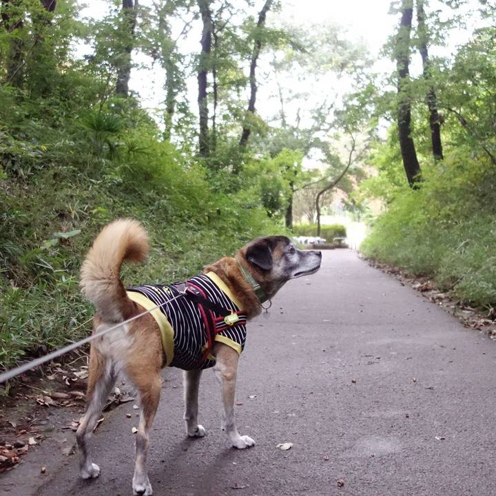 891ef70c 11fa 44f8 a967 b6e2959fa22d 1571529809438