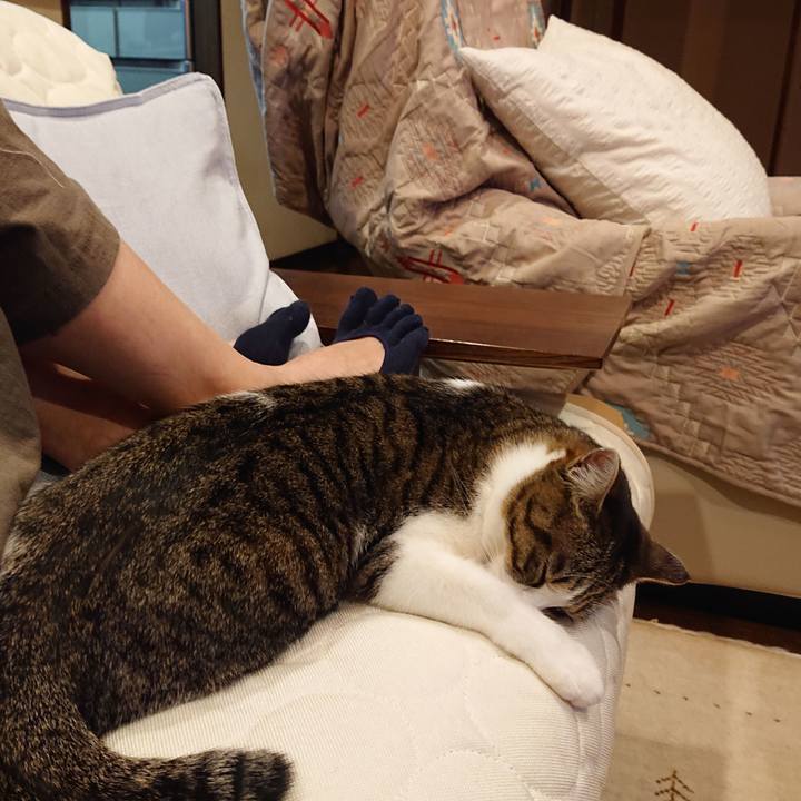 891efc60 ba90 4413 a452 a1119595abf5 1589978420678