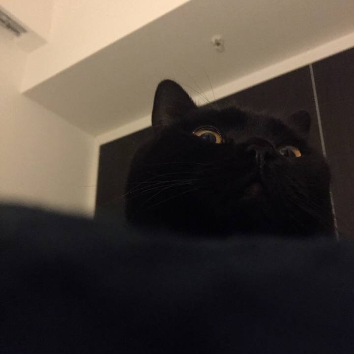 891f418b 9127 4a3c bac5 9341365832fa 1548075229335