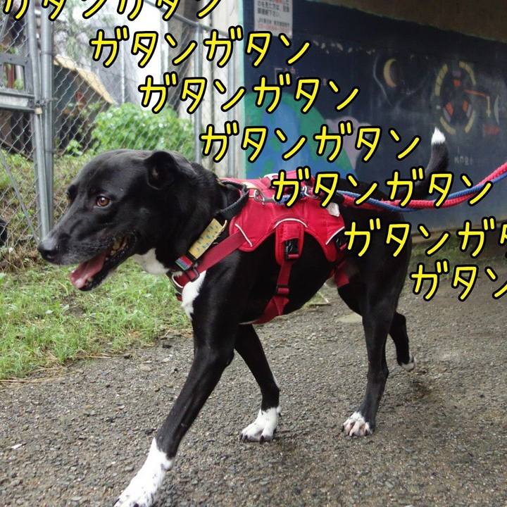 891f837a cbae 48b8 8cb4 b2c1204b064d 1629158723113