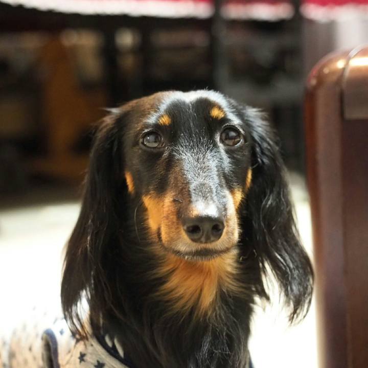 891f8be2 1b0c 4442 a012 4b05345bae6f 1511316507161