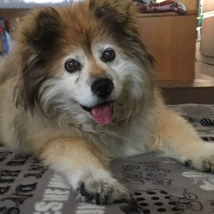 891fcfa9 1caf 4577 b0d0 a7c00cdbb7b8 1577745092074