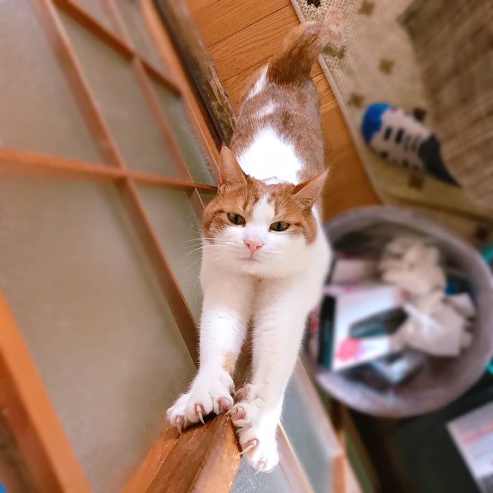 891fe89d 7e7b 4995 bf70 7e79622b153e 1549602528476