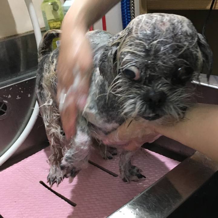 89202894 a72a 42db 828a cbfda945ae84 1513127655719