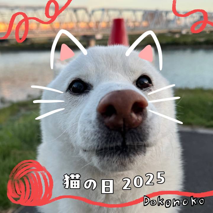 89202bf6 9694 4bd2 81c8 93911eea2f03 1740185955254