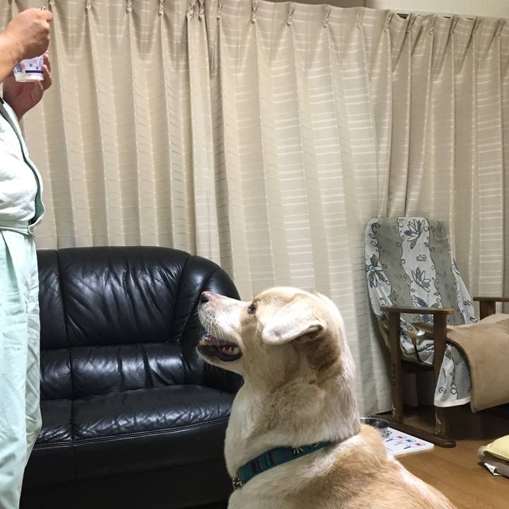 89205250 307d 4d8b 87af 5440465c9b8d 1535381599810