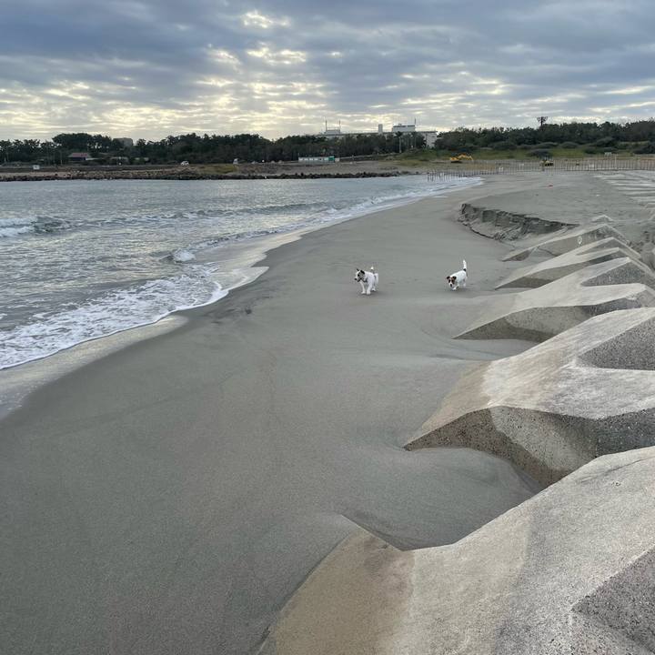 892059fb 53fa 49e7 938f 55bd16d34ddd 1729726466460