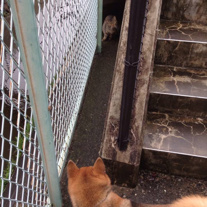 8920682b 4efd 4555 84e7 aac77865073c 1508462473083