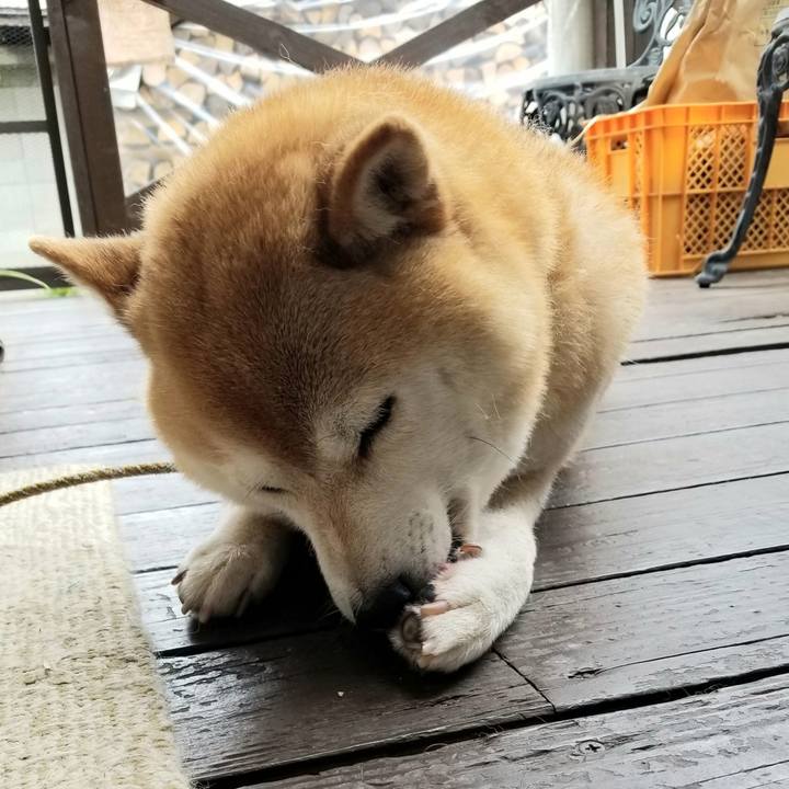 89207aec 22af 411d ace2 4ce0e032a6d8 1594081611087