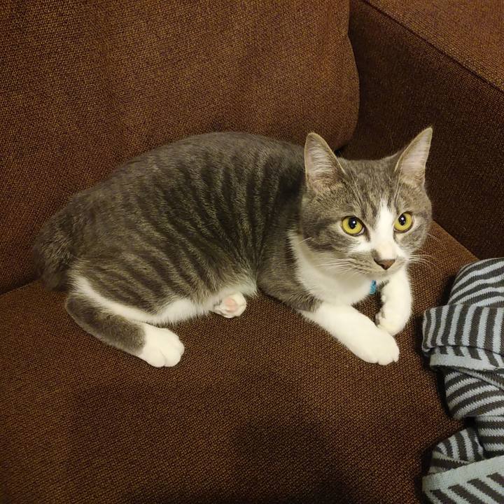 89209b12 10f3 4546 9b11 3a03d3d4cf91 1576830838383