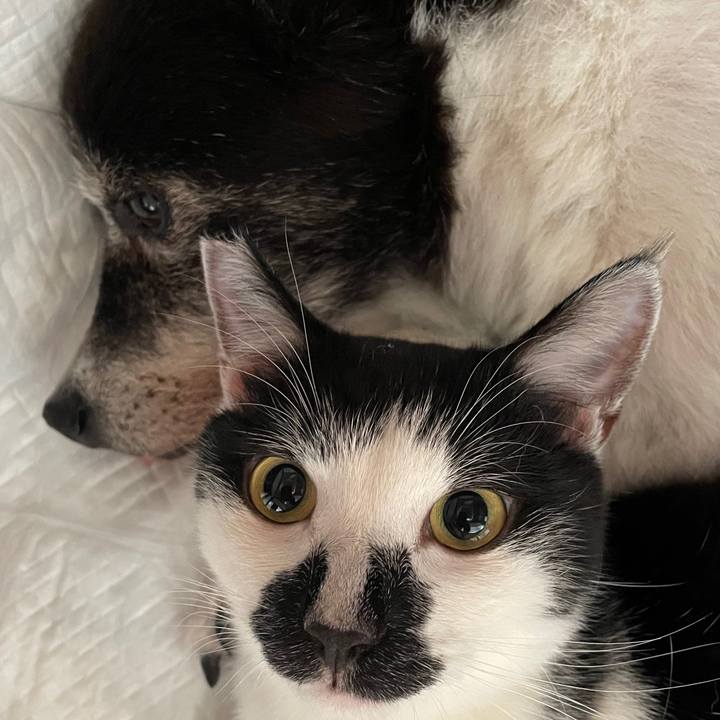 8920c8e0 4d80 42b9 9105 6b09798208df 1757809372448