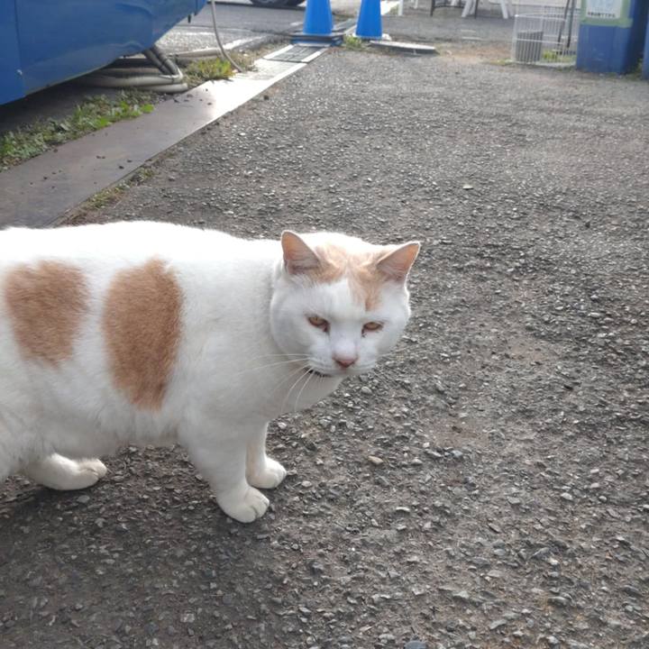 8920ca2b f000 43d2 a365 8a5c62d00f36 1761869444073