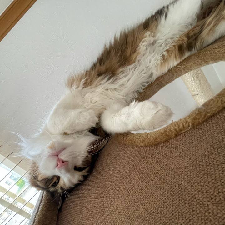 89210b6f e1ef 4e6b 8a6f 1115ffb41bc0 1654466850678