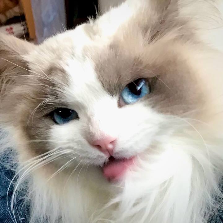 89212c7e 9871 4fc6 9f91 3e2e0cc0bf60 1620782670036