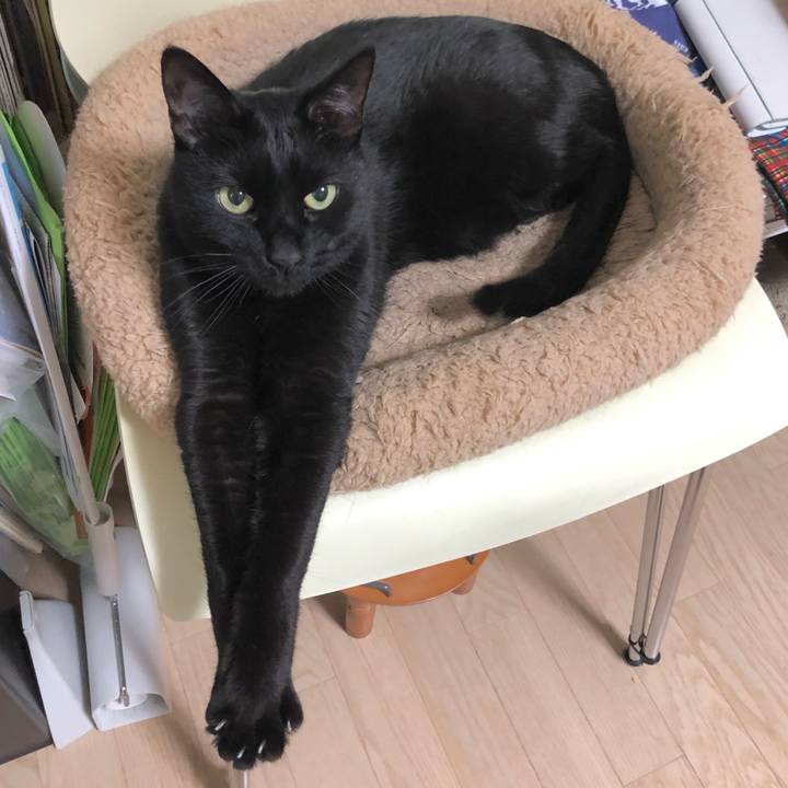 89213849 2fc9 4acf 9900 f898b7ad9b5c 1612961848463