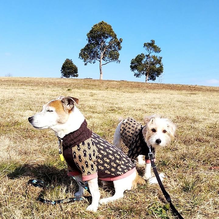 8921461a c728 4b7d 91e7 f497d3d1366e 1548567775584