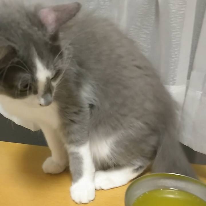 89216e92 da81 431b aa62 b14bdbe56804 1565089311561