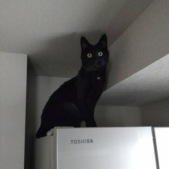 8921822d 89b1 4e62 861a 6b2d1b88786f 1761359236262