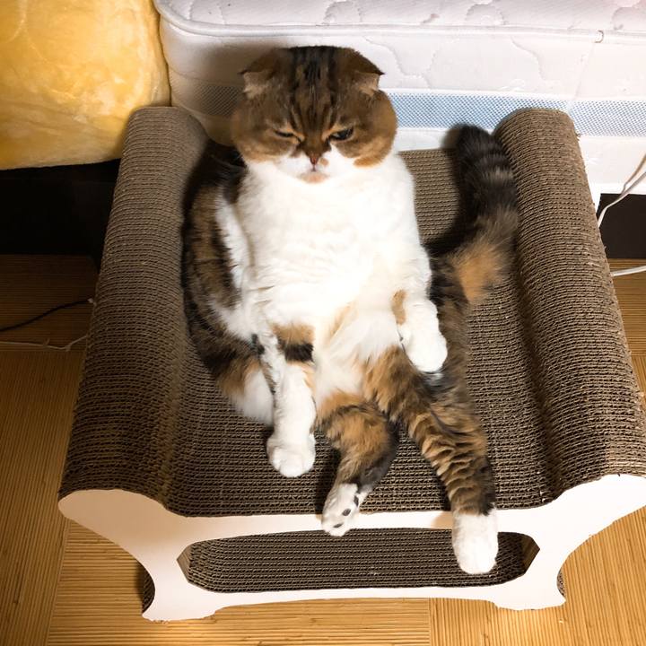 892183af 21c4 48e6 8be8 12b517b8f720 1547477135804