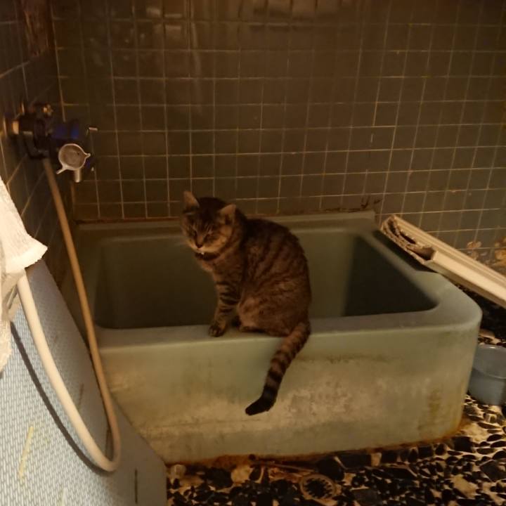 8921b0e2 8e53 4121 a0cc 9581fc97e604 1574496811406