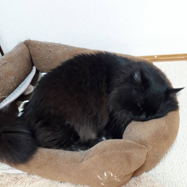 8921d350 e409 4288 9cfc 233010322b62 1523522712088