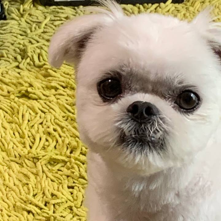 89220b49 5137 405e 8ca0 48a28267beed 1660471620172