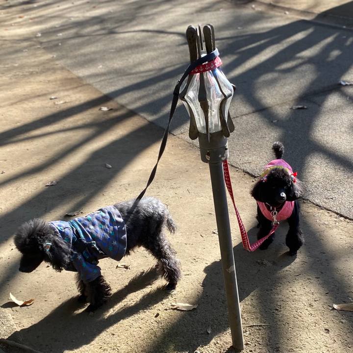 892226ac f80d 480d 8f53 370bd2b2b2b0 1638931665365