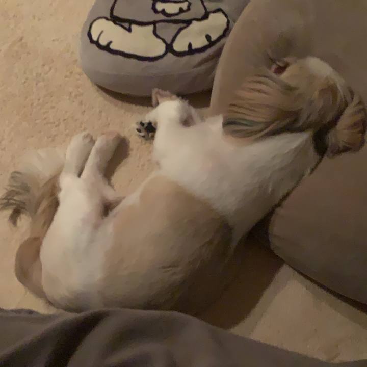 89222b94 af33 4d18 aa97 437ff0f73fc9 1664372431987