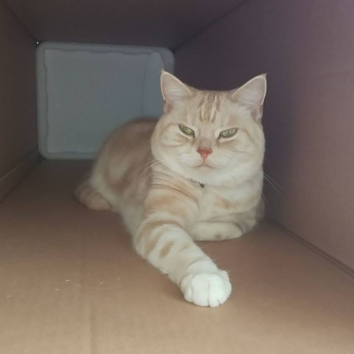 89223238 52dc 4424 b28f 193c933ed147 1540965975979