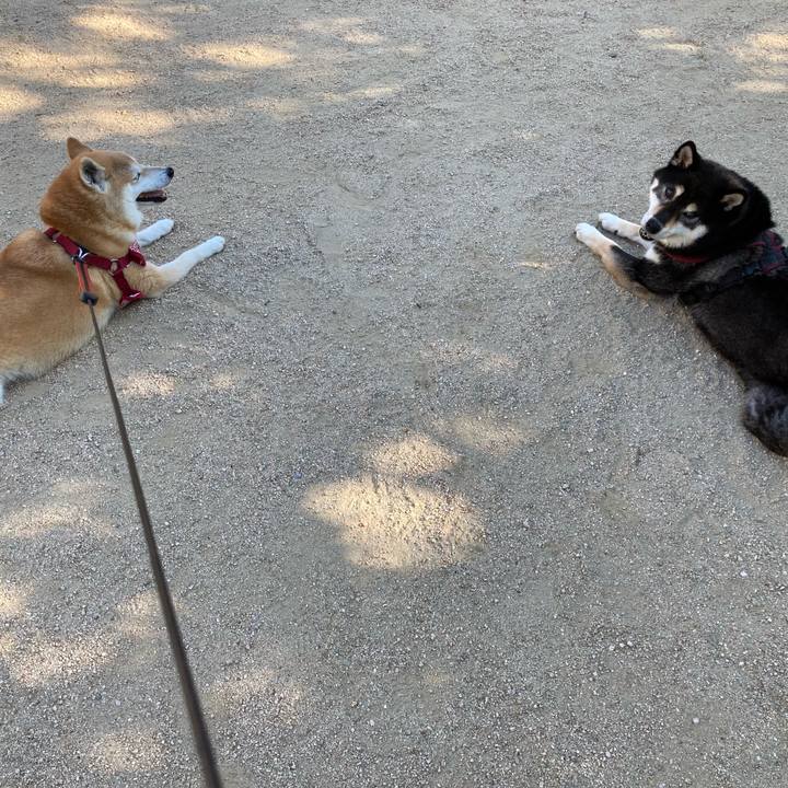 89228095 2133 4916 a43a 5b66069c54de 1626991513993