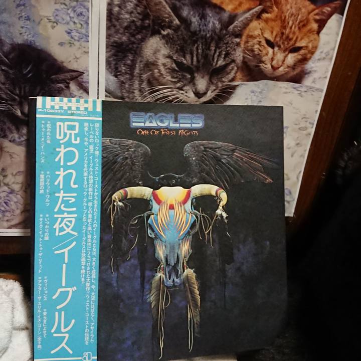 8922da3b 3d70 440f 934b 6f5fd9322c29 1621431104197