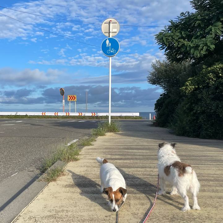 8922e588 7b0a 4fc1 9866 1573b15adca3 1726527471799