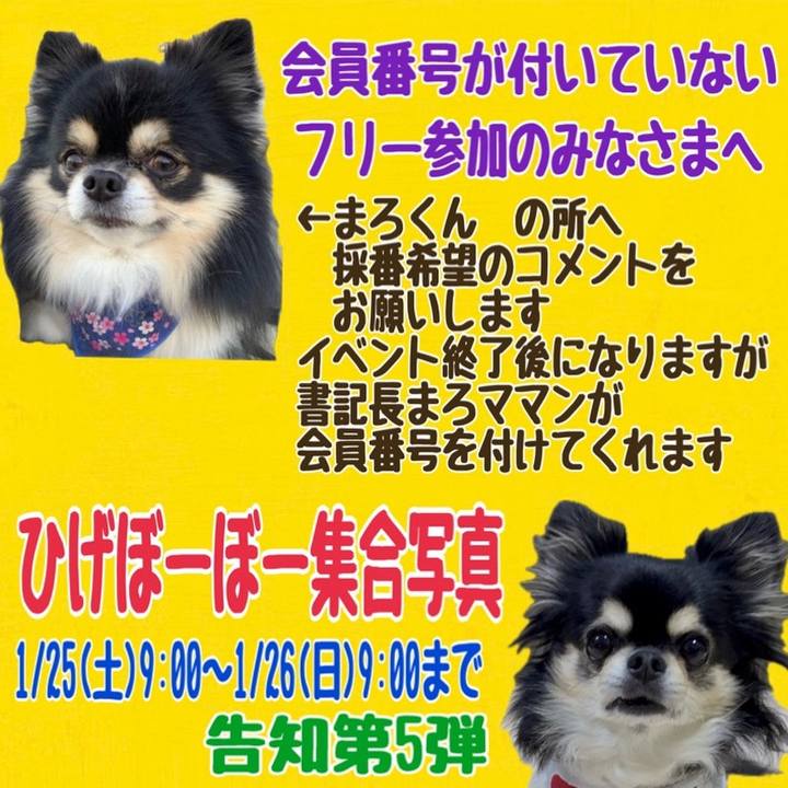 89230a82 104a 4faf bfaa 60fe1de565ee 1736618386748