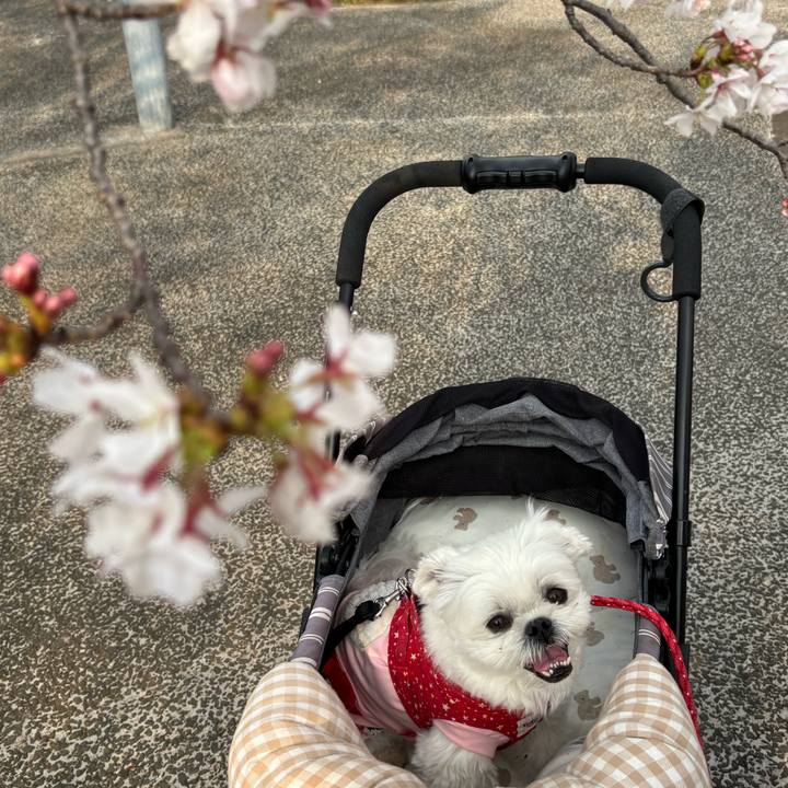 89231c15 6ec9 4145 add4 bb97c37a6611 1774792865488