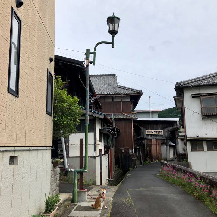 892334e6 1470 4ae4 b3aa c91e8c15fdc4 1560587515746