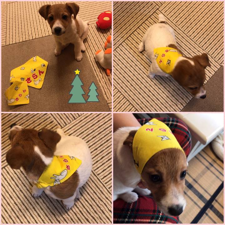 89234080 132d 47c7 81db 3fb9da104e79 1545569130514