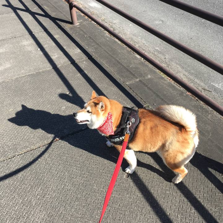 8923434b 6518 4157 88e5 493d59f5036c 1608957104921