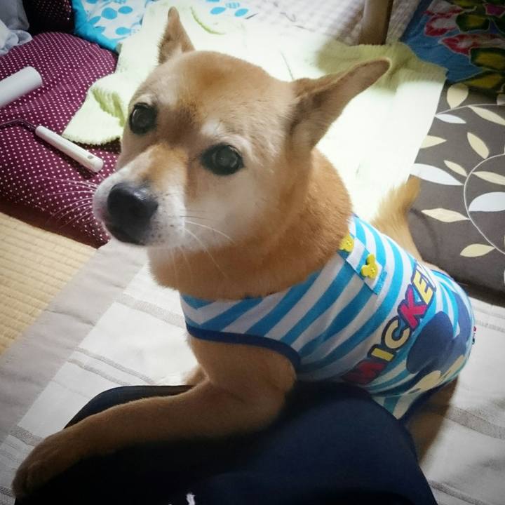 89237527 d906 4426 9ee2 6d0cfeb6568f 1527294721868