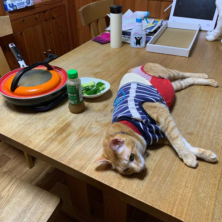 8923a4de b48b 4a1c 9cad 5296a198b56e 1597326674012