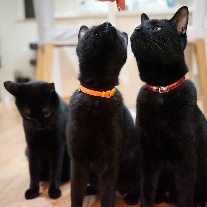 8923abc9 5eac 47a3 9948 2a4ec2641a08 1541409820701