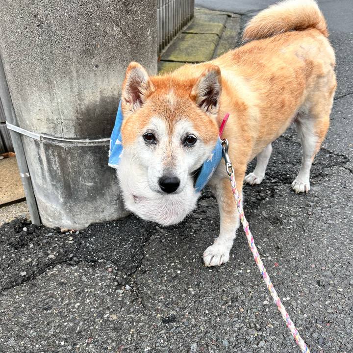 8923d40e 03e3 4666 a6ea 42c48be7507f 1759561191817