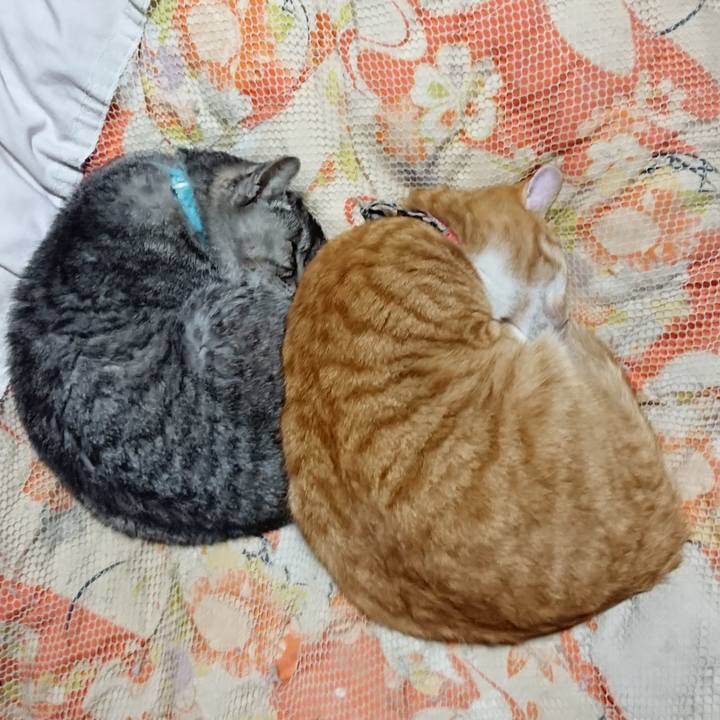 8923e8b6 ce82 4e79 8060 5f2b2e92b6b1 1574164558531