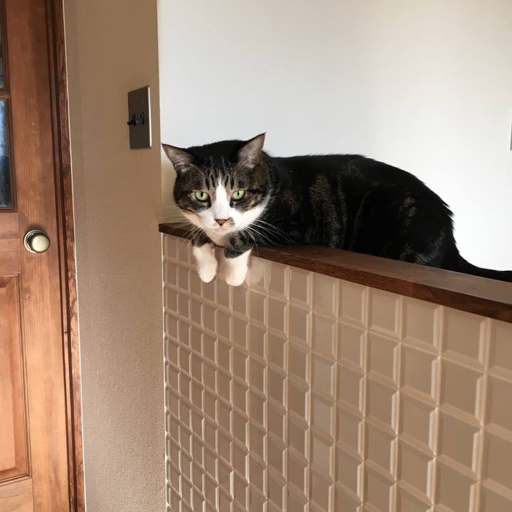 8923f602 2cff 4d6b ac9d 23584a0f348f 1512690940417