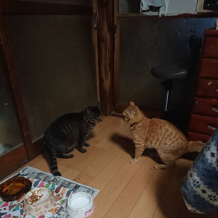 892474f9 27ce 4536 88c6 189011b15d4c 1652870505759